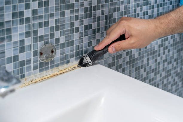 Best Professional Mold Removal  in San Pasqual, CA